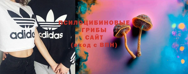 герыч Бронницы