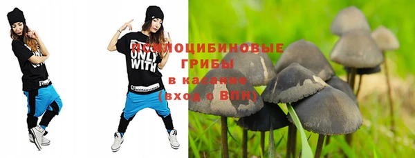 герыч Бронницы